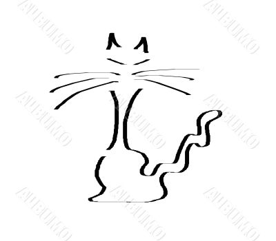 Siamese Cat