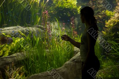 Aquarium