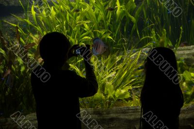 Aquarium