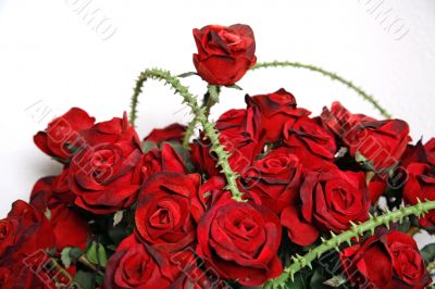 Red Roses