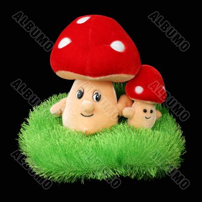 Mushrooms