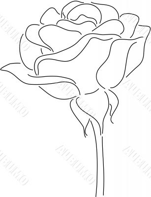 Rose Vector