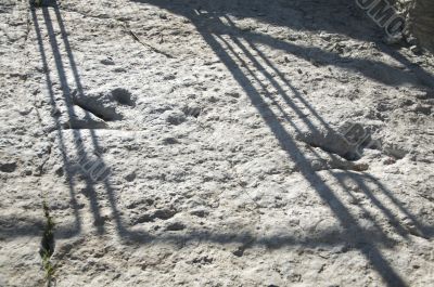 couple of dinosaur tracks