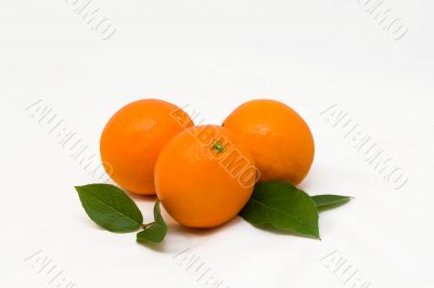 Some oranges with green leaves
