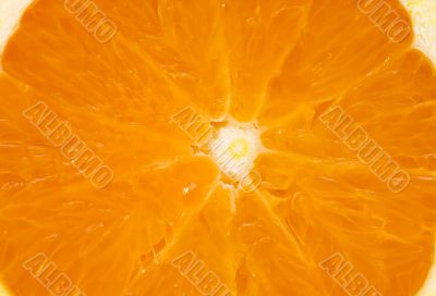 Slice of fresh orange macro on a white background