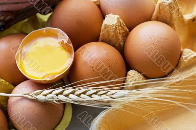 Eggs and wheat
