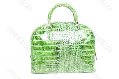 Green leather handbag on white background