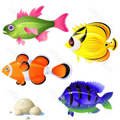 Tropical fish set