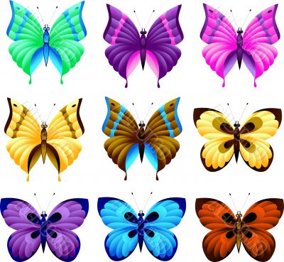 Set of butterfly