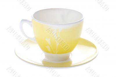 Yellow Tea cup