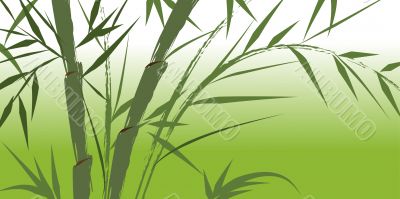 design of chinese bamboo trees