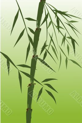 design of chinese bamboo trees