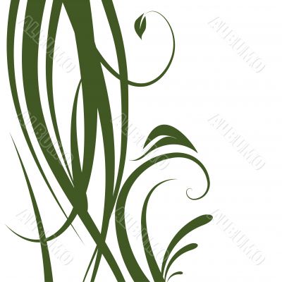 Abstract floral background