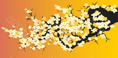 Abstract floral background