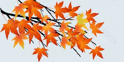 Abstract tree with autumn leaves