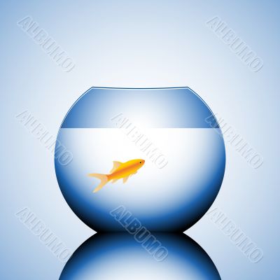 goldfish in a bowl