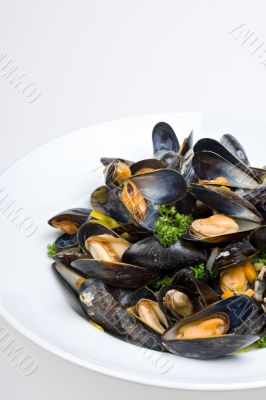 mussels