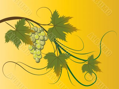 grape brunch