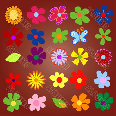 colorful spring flowers