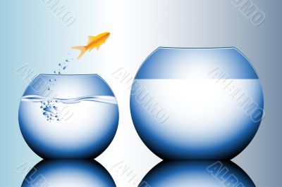 goldfish jumping out of the water
