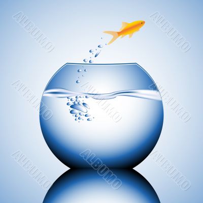 goldfish jumping out of the water