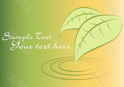 green leaves