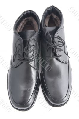 man shoes on white