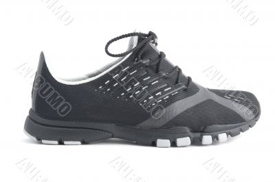 sport shoes on white background