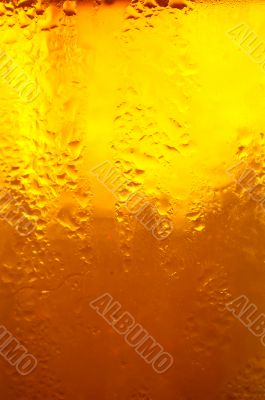 Glass of beer close-up with bubbles