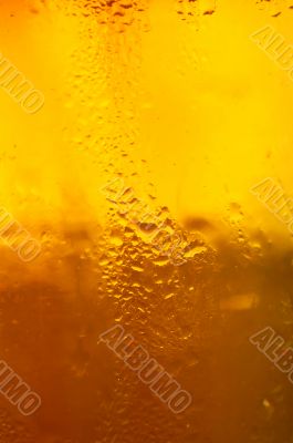 Glass of beer