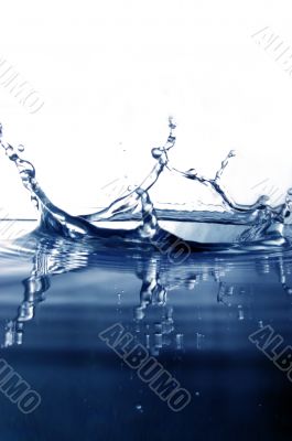Water drop splash