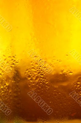 Glass of beer close-up