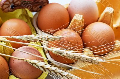 Eggs and wheat