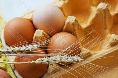 Eggs and wheat