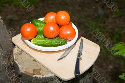 Still life
