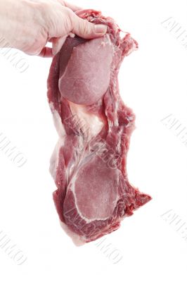 raw meat on white background