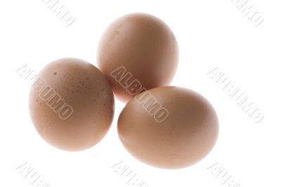Yellow egg on white