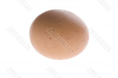 Yellow egg