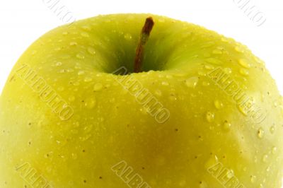 Green fresh apple. Macro. isolated white