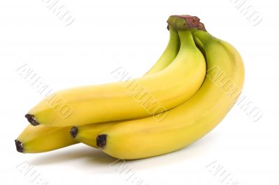 bananas bunch