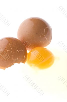 Crash Yellow egg