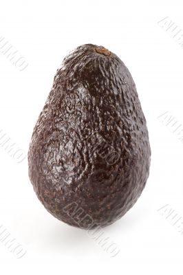 Hass Avocado