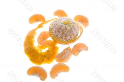 Open mandarin on white