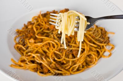 spaghetti