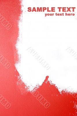 Painting the wall