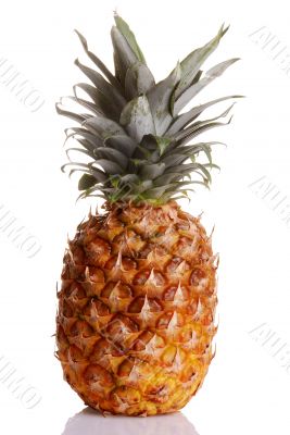 pineapple