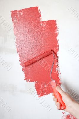painting a wall with a roll