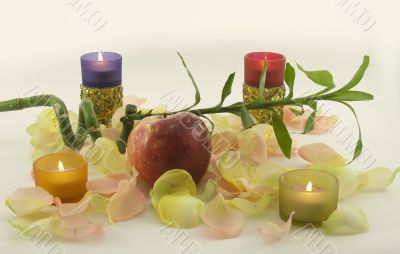 Bamboo and big red fresh apple with aromatic rose leave in rays