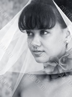 Beautiful bride