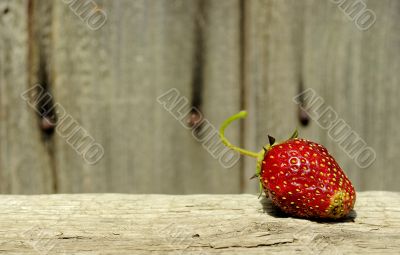 srawberry